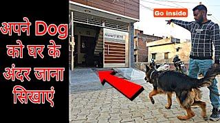 Train your dog to go inside home on a single call || Dog ko training kaise de