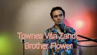 Townes Van Zandt - Brother Flower | Nikita Popov cover |