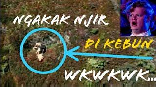 5 aksi drone yang berhasil merekam yang berhubungan intim 