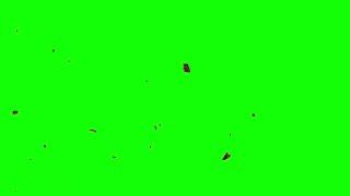 Green Screen - Ashes Flying