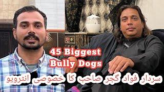 Biggest Bully Dog Kennel in Pakistan | 45 Champions Bully Dog | Interview of Sardar Fawad Ali Gujjar