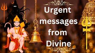 Urgent messages from Divine ️️ timeless