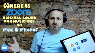 Original Sound for Musicians on Zoom Mobile App for iPad, iPhone and Android.