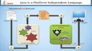 Why Java is a platform independent language? - Wingslive