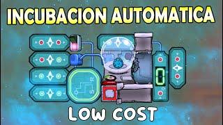 INCUBADORA AUTOMATICA | Oxygen Not Included |  Tutorial Español