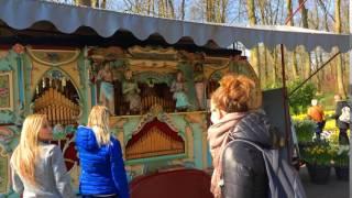 Barrel organ at the Keukenhof - The Netherlands