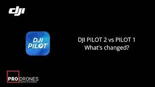 DJI Pilot 1 vs Pilot 2. A comprehensive comparison.