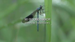 90-SECOND NIKKOR | Episode 7 | NIKKOR Z MC 105mm f/2.8 VR S