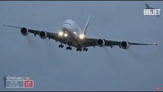 LIVE: #StormDarragh at London Heathrow Airport [Part Two]