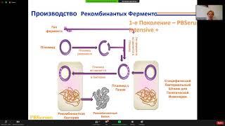 Вебинар по ферментотерапии PBSerum (часть 1)