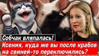 Собчак вляпалась! Ксения, куда же вы после крабов на свиней-то переключились?