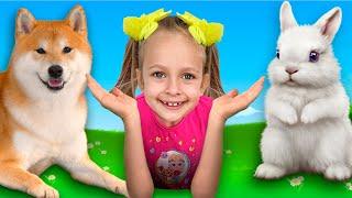 Favorite Pets Song + More Songs for Kids | Maya and Mary