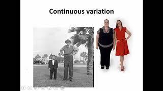 Continuous and discontinuous variation