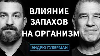 Доктор Ноам Собел: Как запахи влияют на наши гормоны, здоровье и поведение | на русском