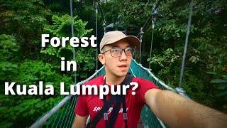 Exploring KL Forest Eco Park: Our First-Time Visit