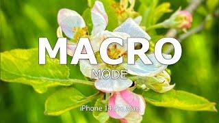 iPhone 14 Pro Max How You Should REALLY Take MACRO Shots!