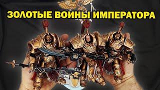 Адептус Кустодес - фигурки терминаторов Алларус из Warhammer 40000 от JoyToy