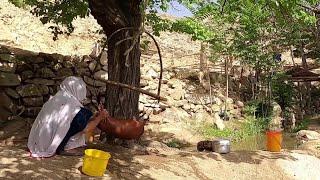 Living in Remote Afghanistan Village: Village Life Afghanistan