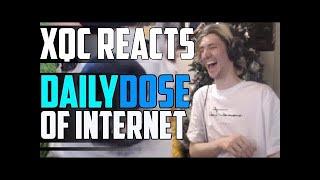 xQc REACTS TO DAILY DOSE OF INTERNET   Episode 1   xQcOW