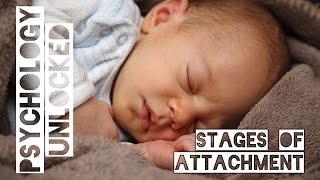 How Babies Form Attachments | Four Stages | Schaffer & Emerson