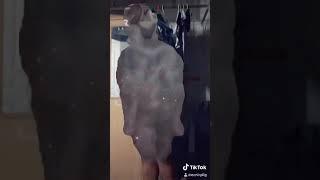 Invisible epic fail.. tiktok