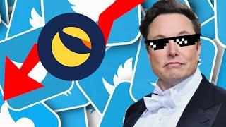 Elon Musk Stop Twitter & Luna s'effondre !