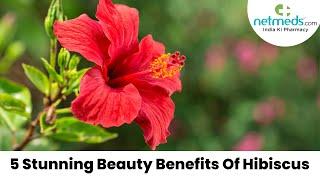 5 Stunning Benefits Of Hibiscus #netmeds