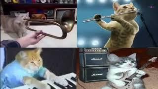 ballin by mustard but its played by cats