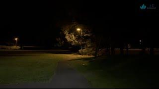 A peaceful walk through the local park at night