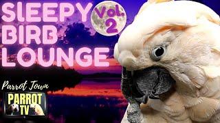 Sleepy Birb Lounge [Vol.  2] | Calm Piano Music for Birds | Parrot Music TV for Your Bird Room