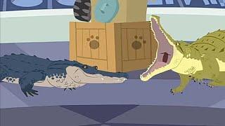 Крокодил против Аллигатора.Братья Кратт: Зов Природы. Новая серия. Канал Детишки