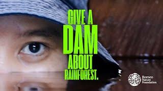 Give a DAM about rainforest.