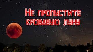 Не пропустите кровавую луну!