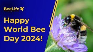 Happy World Bee Day 2024 from BeeLife!