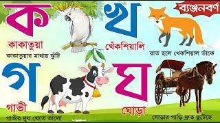 বাংলা ব্যঞ্জনবর্ণ | Bangla Banjonborno | क अ ग ह | Learn Bangla Alphabet | বর্ণমালা শিক্ষা ক খ গ ঘ