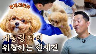 I Met One-Shot Hansol's Genius Dog, Tori [Not a Lonely Trainer EP.5]