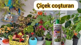 sıvı bitki besini nasıl kullanılır? Migrosta satılan bitki besini 