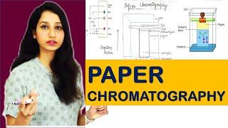 Paper chromatography I Techniques I Basic and Detailed Explanation