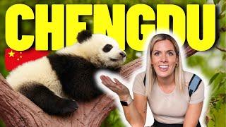 Seeing GIANT PANDAS in Chengdu, China 