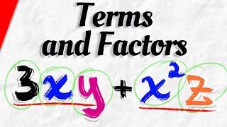Terms and Factors of Algebraic Expressions