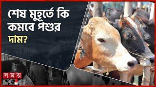 কেমন ছিল ছুটির দিনে পশুর হাট? | Qurbani Cow Haat | Cattle Market | Dhaka | Somoy TV