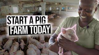 A Full Pig Farming Guide For Beginners