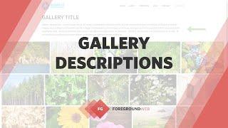 Gallery or portfolio page descriptions