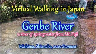 Genbe River, a river of spring water from Mt. Fuji, in Mishima city, Shizuoka, Japan