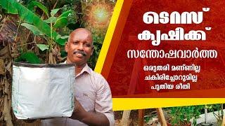 ടെറസ് കൃഷിക്ക് ഒരു സന്തോഷവാർത്ത | Terrace Cultivation | Different Type Of Growbag Cultivation