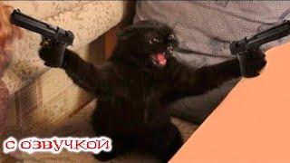 Funny animals! Funniest Cats and Dogs - 4