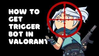 HOW TO GET TRIGGER BOT ON VALORANT