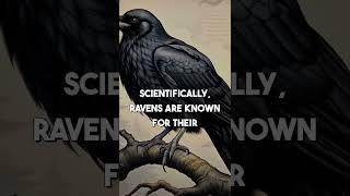 Ravens: Myths & Truths Revealed 