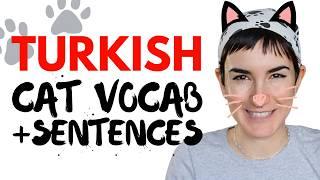 Turkish Cat Vocabulary & Example Sentences