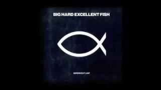 Big Hard Excellent Fish - Imperfect List (Weatherall Mix)